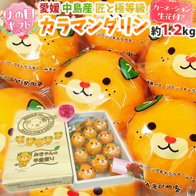楽天市場 みきゃんの通販
