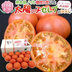 ���i�摜