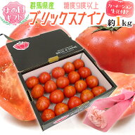 母の日ギフト ”ブリックスナイン” カーネーション生花付き 化粧箱 約1kg【予約 5月2日〜5月10日お届け…