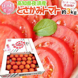 母の日ギフト ”とさかみトマト” 産地箱 約3kg カーネーション造花付き【予約 5月3日～5月12日お届け予定】 送料無料