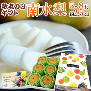 hV̓Mtg h쐅h Gi 5`8 2.5kg ϔ YnIy\ 97`15͂\z 