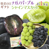 遅れてごめんね！敬老の日ギフト ”シャインマスカット＋ナガノパープル 食べ比べセット” 2房 約1kg 産…