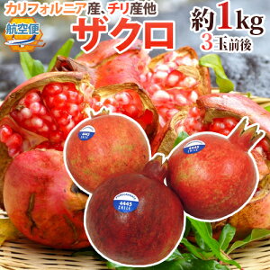 JtHjAA`Y ق hUNh 3ʑO 1kg qցy\ 10ȍ~z 