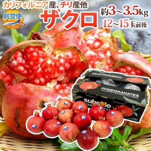 JtHjAA`Y ق hUNh 12`15ʑO 3`3.5kg qցy\ 10ȍ~z 