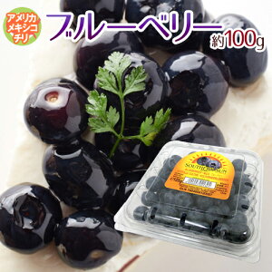 ブルーベリー 100gの人気商品 通販 価格比較 価格 Com ブルーベリー 100gの人気商品 通販 価格比較 価格 Com