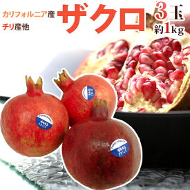 カリフォルニア、チリ産 ほか ”ザクロ” 3玉前後 約1kg【予約 11月下旬以降】 送料無料