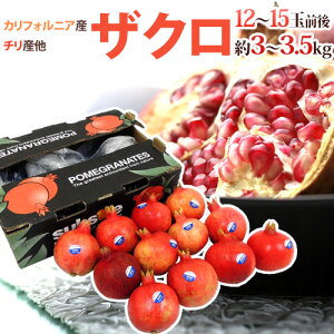 JtHjAA`Y ق hUNh 12`15ʑO 3`3.5kgy\ 11{ȍ~z 