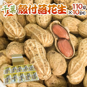 tY hktԐh 110g×10 Y s[ibcy\ ׎攭z 