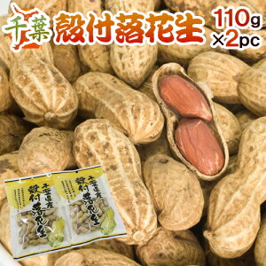 y9/5ISz|CgobN̑`XztY hktԐh 110g×2 Y s[ibcy|Xgzy\ ׎攭z