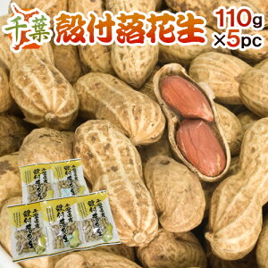 y9/5ISz|CgobN̑`XztY hktԐh 110g×5 Y s[ibcy\ ׎攭z 