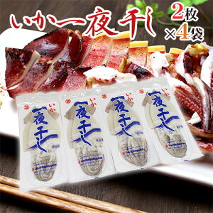 生 するめの人気商品 通販 価格比較 価格 Com