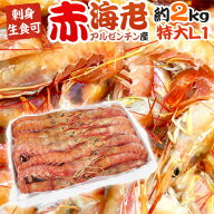 ”アルゼンチン赤海老” 20〜40尾前後 特大L1サイズ 約2kg 生食/お刺身可 有頭殻付き ブロック アカエビ/…