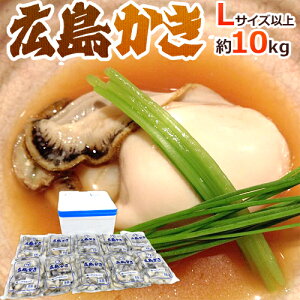 hLY ނyh 嗱LTCYȏ 1kg×s10܁tiv10kgjMp//ⓀJL/a 