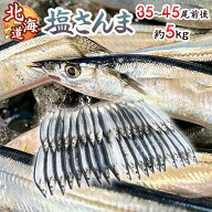2026年新物！北海道産 ”塩さんま” 35〜45尾前後 約5kg サンマ 秋刀魚 【予約 入荷次第発送】 送料無料