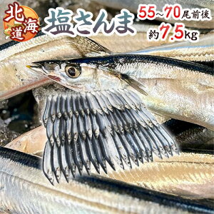 2025年新物!北海道産 ”塩さんま” 55〜70尾前後 約7.5kg サンマ 秋刀魚 【予約 入荷次第発送】 送料無料