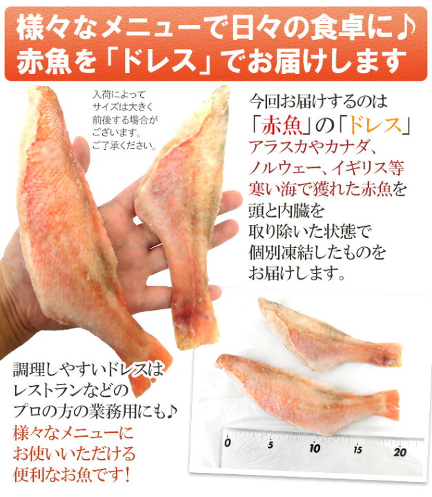 楽天市場 25日はポイント10倍 赤魚 ドレス 約1kg 訳あり 大きさおまかせ ノルウェー カナダ イギリス アラスカ産など 送料無料 くらし快援隊 母の日父の日お歳暮