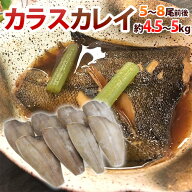 ”カラスカレイ” ドレス 5〜8尾前後 約4.5〜5kg 鰈/カラスガレイ 送料無料