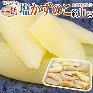 ���V�A�Y �h�����̎q�h ������Ɩ󂠂� ��1kg �傫�����܂��� �������􂩂��̂��I�y�|�X�g�������������z�y�\�� ���׎��攭���z