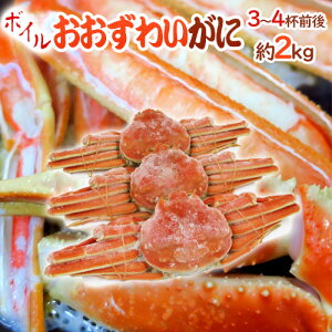 kCY Ⓚ h{CIIYCKjh 3`4tO 2kg p YCI 