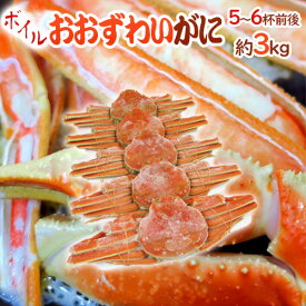 北海道産 冷凍 ”ボイルオオズワイガニ” 5～6杯前後 約3kg 姿 ズワイ蟹 送料無料