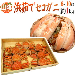 RAY hl䥂ŃZRKjh 6`10CO 1kgy\ 11{ȍ~z 