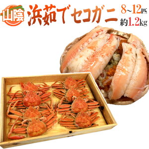 RAY hl䥂ŃZRKjh 8`12CO 1.2kgy\ 11{ȍ~z 