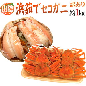 RAY hl䥂ŃZRKjh 󂠂 1kg 傫܂y\ 11{ȍ~z 