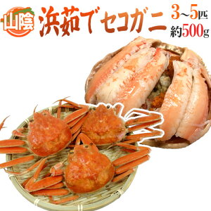 RAY hl䥂ŃZRKjh 3`5CO 500gy\ 11{ȍ~z 