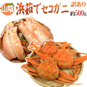 RAY hl䥂ŃZRKjh 󂠂 500g 傫܂y\ 11{ȍ~z 