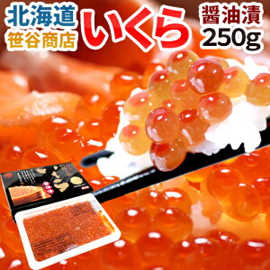 kCYJX hݖЂh 250g ϔ 