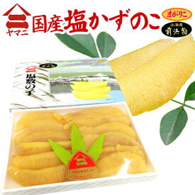 北海道 井原水産 ”ヤマニ 国産 塩数の子 まがりこ” 大きさおまかせ 一本羽 約500g 化粧箱 にぎりこ 北海道産 前浜物 塩かずのこ【予約 12月以降】 送料無料