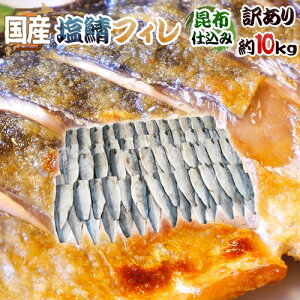 Y hzd ItBh 󂠂 10kg 傫܂ O낵 To 