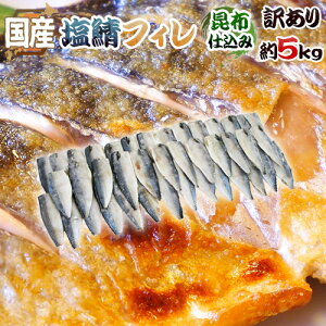 Y hzd ItBh 󂠂 5kg 傫܂ O낵 To 