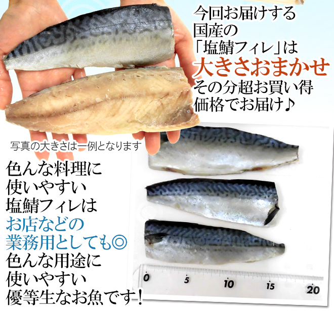 最新コレックション国産 ”塩鯖フィレ” 訳あり 送料無料 三枚おろし 大きさおまかせ 約2kg サバ 魚介類・水産加工品