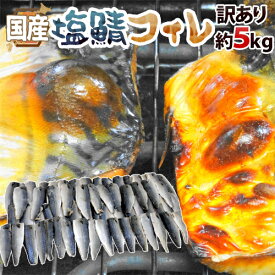 国産 ”塩鯖フィレ” 訳あり 約5kg 大きさおまかせ 三枚おろし サバ 送料無料