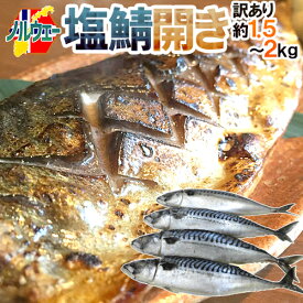 ノルウェー ”塩鯖開き” 訳あり 4〜5尾前後 約1.5〜2kg 背開き 塩サバ 送料無料