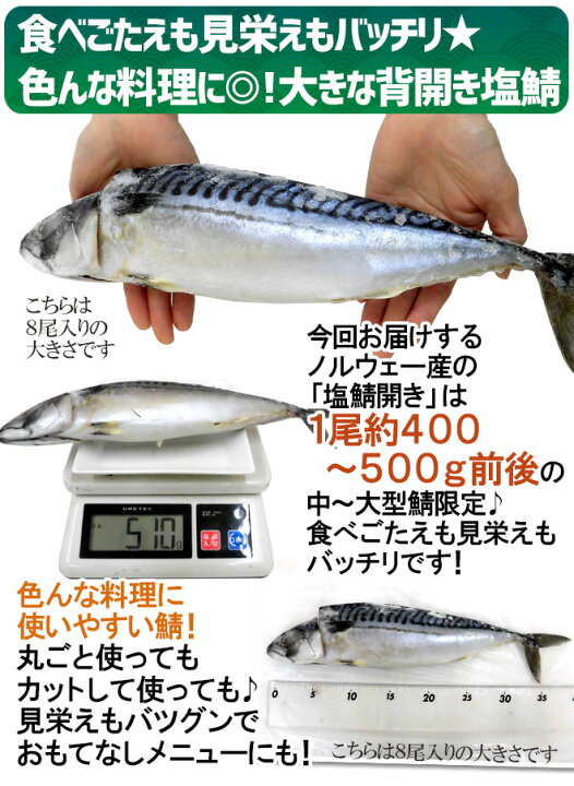 今年も話題の ノルウェー ”塩鯖開き” 8〜10尾前後 約3.5〜4kg 背開き 塩サバ 送料無料 今年も話題の ノルウェー ”塩鯖開き” 8〜10尾前後 約3.5〜4kg 背開き 塩サバ 送料無料