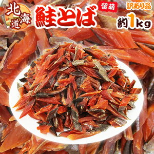 kCY hƂ΁h 󂠂 1kg JbgT[ W[L[y\ ׎攭z 