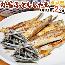 ”カラフトししゃも（オス）” 約2kg 訳あり カラフトシシャモ/樺太ししゃも 送料無料