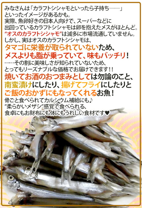 楽天市場】”カラフトししゃも(オス)” 約2kg 訳あり カラフトシシャモ/樺太ししゃも 送料無料 : くらし快援隊〜お中元お歳暮ギフト 楽天市場】”カラフトししゃも(オス)” 約2kg 訳あり カラフトシシャモ/樺太ししゃも 送料無料 : くらし快援隊〜お中元お歳暮ギフト