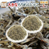 国産 ”大きなちりめんじゃこ” 訳あり 約1kg かえりちりめん 送料無料