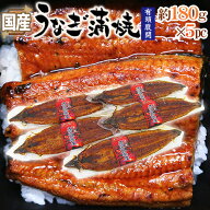 国産 ”うなぎ蒲焼” 約180g前後×5pc 真空パック入り 山椒・タレ付き ウナギ/鰻/頭有腹開 送料無料