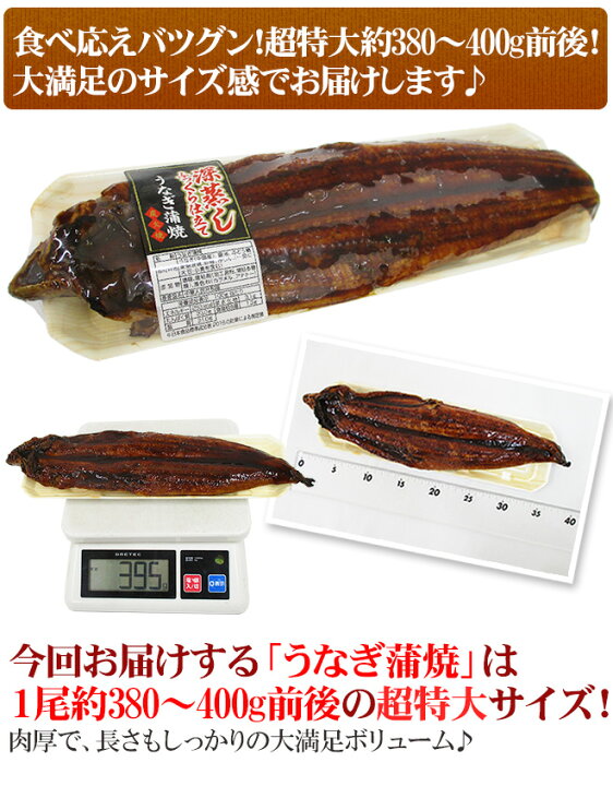 楽天市場】”うなぎ蒲焼” 約4〜5kg 中国産 ウナギ/鰻/有頭腹開 送料無料 : くらし快援隊〜お中元お歳暮ギフト 楽天市場】”うなぎ蒲焼” 約4〜5kg 中国産 ウナギ/鰻/有頭腹開 送料無料 : くらし快援隊〜お中元お歳暮ギフト