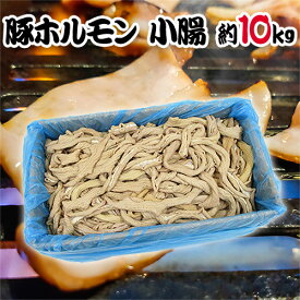 国産 ”豚小腸（ヒモ・ホソ）ボイル” 約10kg 未カット
