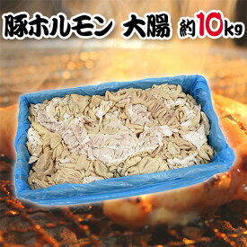 国産 ”豚大腸（シロ）ボイル” 約10kg 未カット