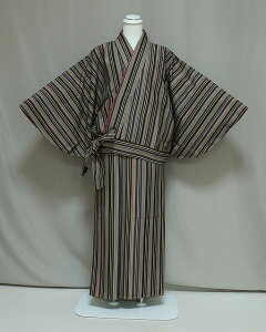 V񕔎 K0620-35L  TCYL ѕsv̂ 䕿̐􂦂钅 nF̈񕔎