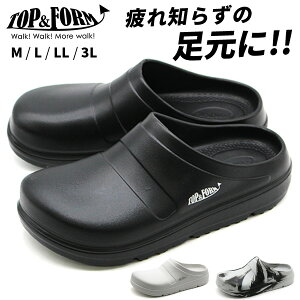 T_ Y fB[X C  ubN  zCg O[ T_ RtH[gT_ ܐ悠 y y L 3E Ȃ   傫TCY d ₷ 