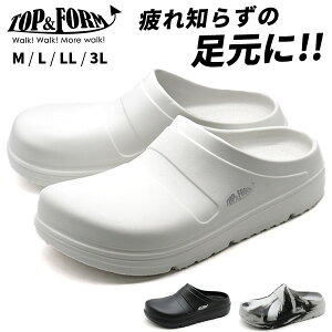 T_ Y fB[X C  ubN  zCg O[ T_ RtH[gT_ ܐ悠 y y L 3E Ȃ   傫TCY d ₷ 