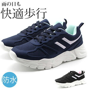 Xj[J[ h fB[X C   ubN lCr[ y y J  ɂ ʊw ʋ v`v vv PASTLARE SKR-1041