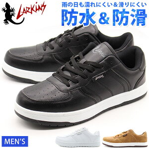 Xj[J[ Y C  zCg  ubN uE h h J J̓   ɂ ₷  OC\[ 傫TCY  JWA ʋ ʊw [